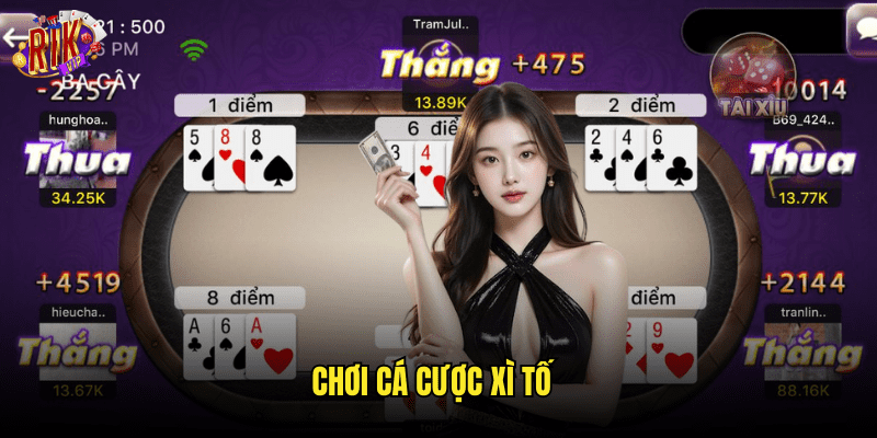 Chơi Cá Cược Xì Tố